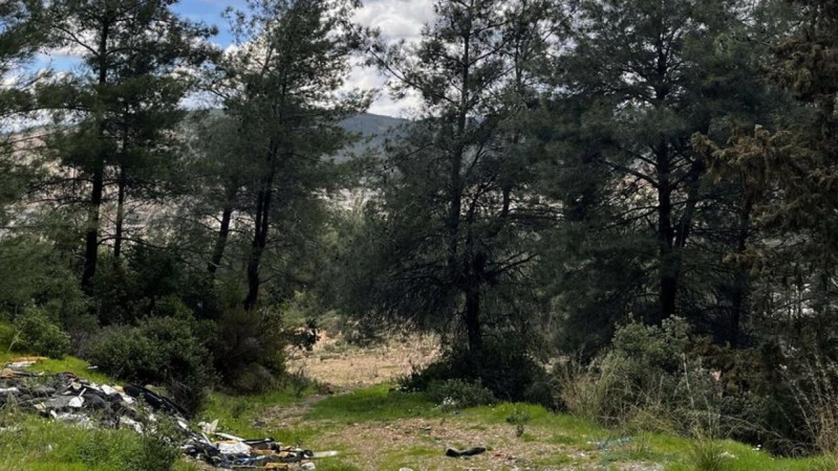 Akbelen Ormanı acele kamulaştırma kararı Danıştay tarafından onandı